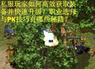 私服玩家如何高效获取装备并快速升级？职业选择与PK技巧有哪些秘籍？