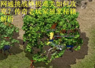 网通挑战终极难关如何攻克？传奇老玩家独家秘籍解析