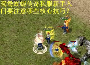 鸳鸯蝴蝶传奇私服新手入门要注意哪些核心技巧？