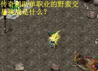 传奇辅助单职业的野蛮交易挑战是什么？