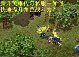 新开英雄传奇私服中如何快速提升角色战斗力？