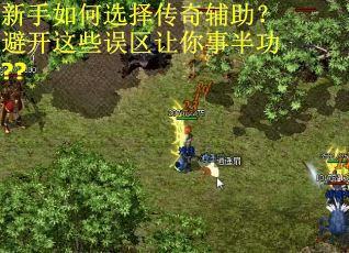 新手如何选择传奇辅助？避开这些误区让你事半功??