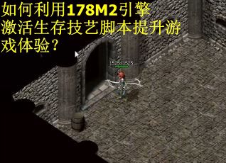 如何利用178M2引擎激活生存技艺脚本提升游戏体验？
