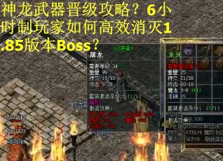 神龙武器晋级攻略？6小时制玩家如何高效消灭1.85版本Boss？