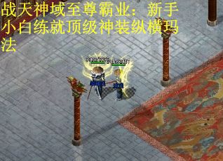 战天神域至尊霸业：新手小白练就顶级神装纵横玛法