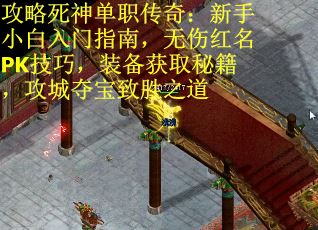 攻略死神单职传奇：新手小白入门指南，无伤红名PK技巧，装备获取秘籍，攻城夺宝致胜之道